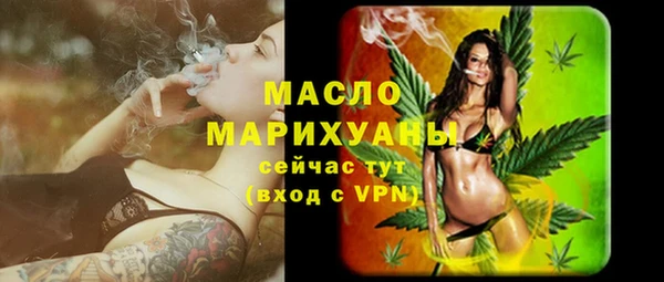 индика Киреевск
