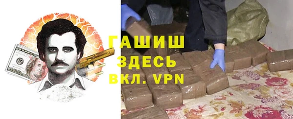 индика Киреевск