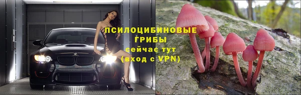 индика Киреевск