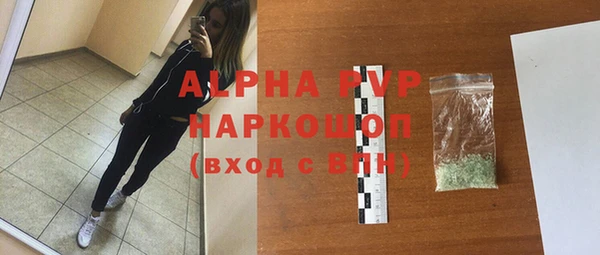 индика Киреевск