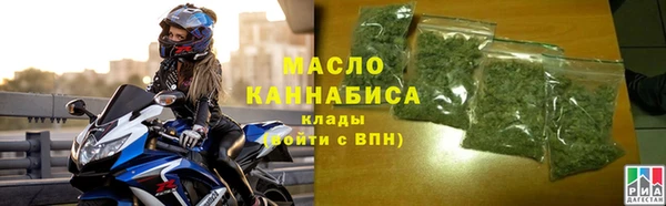 индика Киреевск