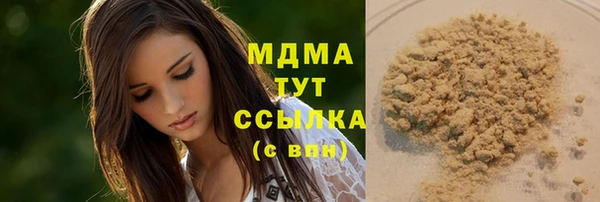 индика Киреевск