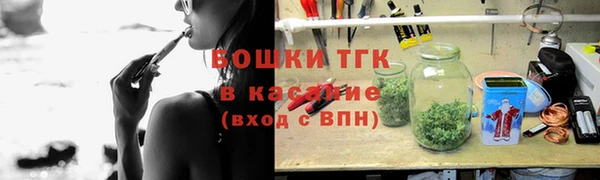 индика Киреевск