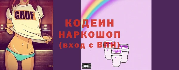 индика Киреевск