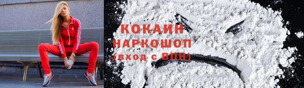 сатива Киренск