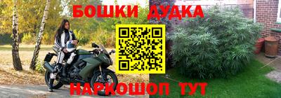 гидра Дубна